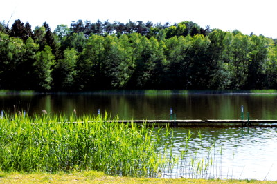jezioro w letni upalny dzień